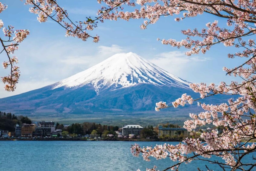 From Tokyo: 10-hour Mount Fuji Private Customizable Tour