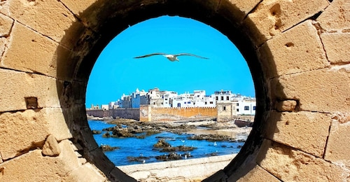 Marrakech: Full-Day Trip To Essaouira with Argan Co-Op Visit