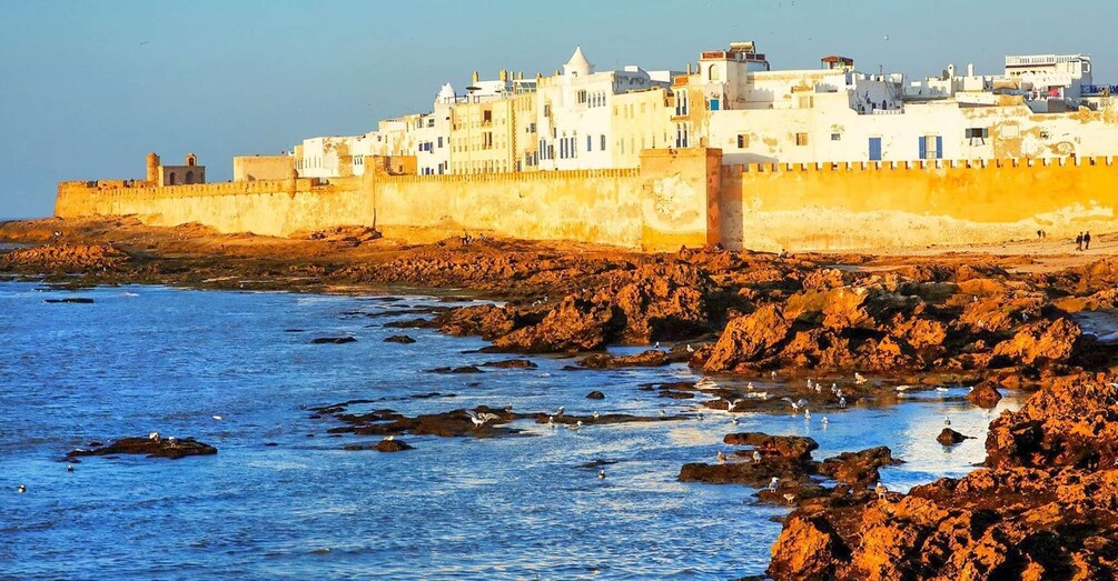 From Marrakesh : Excursion Essaouira Full-Day Trip