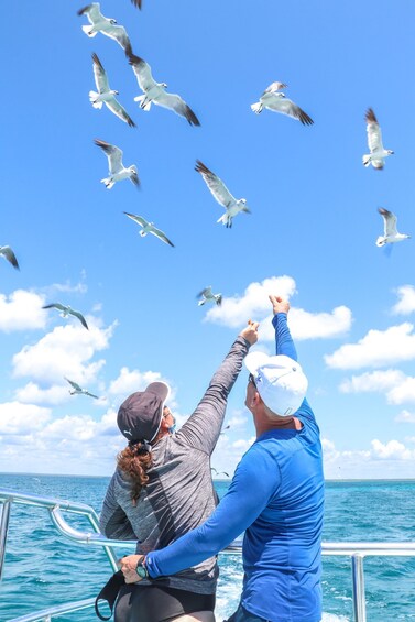 Picture 7 for Activity Santo Domingo: Saona Island full-day tour all-inclusive