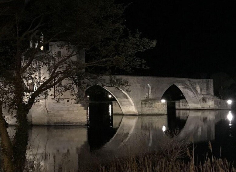 Picture 1 for Activity Avignon: La Noctambule du Pape Night Tour