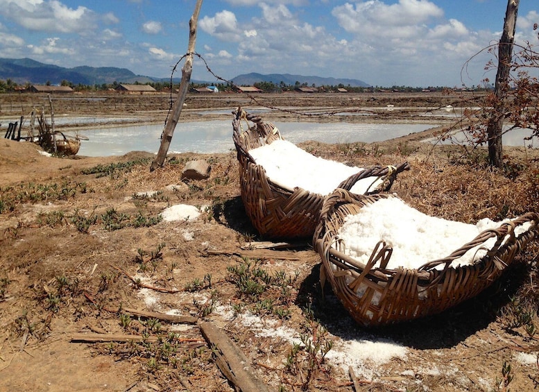 Picture 4 for Activity One Day Trip to Pepper Farm, Chhngok Temple and Salt Field