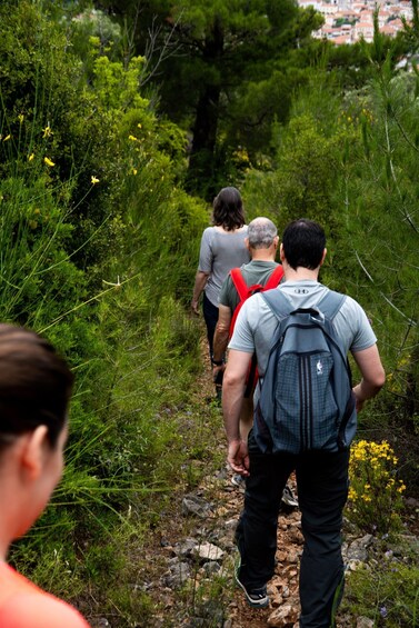 The Parnon Ridge: ancient paths, nature and local villages