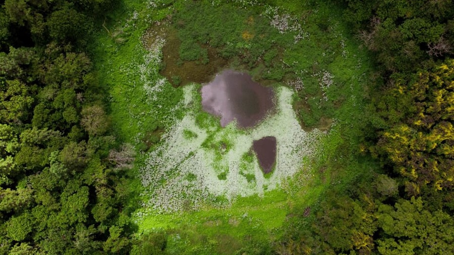 Volcano, Lake, Forest, Tea Plantation & 3 Course Lunch