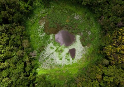 Volcano, Lake, Forest, Tea Plantation & 3 Course Lunch