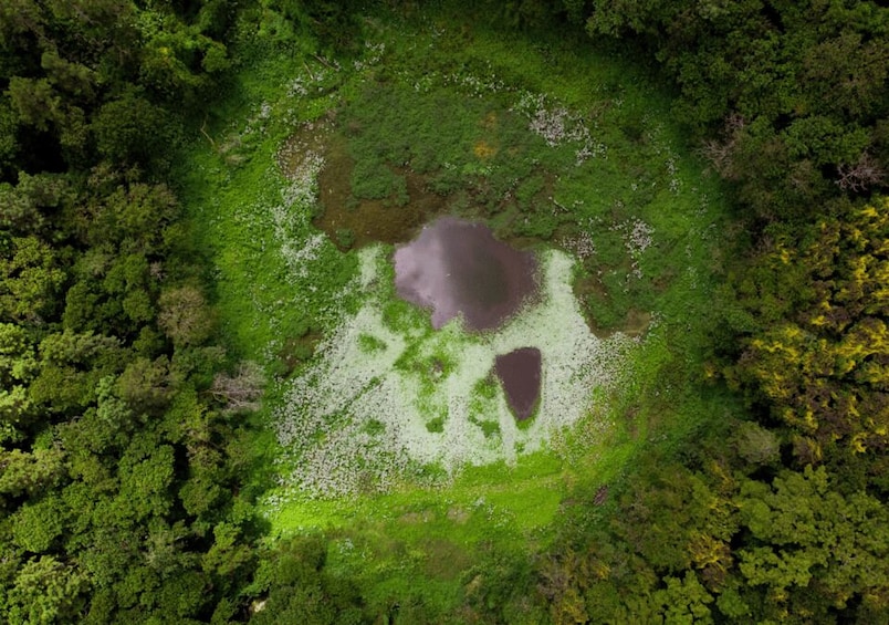 Tea Route - Dormant Volcano, Lakes, Tea Tasting & Lunch