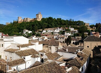 Albaicín & Sacromonte: Tour with Flamenco Show