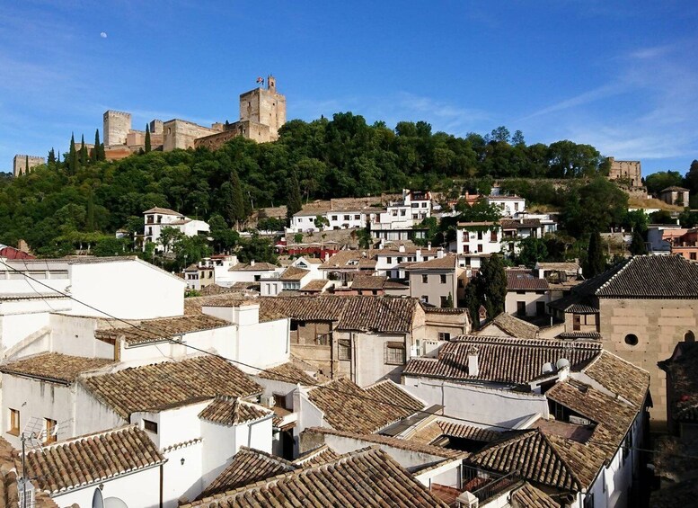 Albaicín & Sacromonte: Tour with Flamenco Show