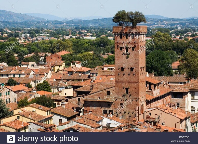 Picture 11 for Activity Visit Pisa & Lucca with lunch in a family-run winery