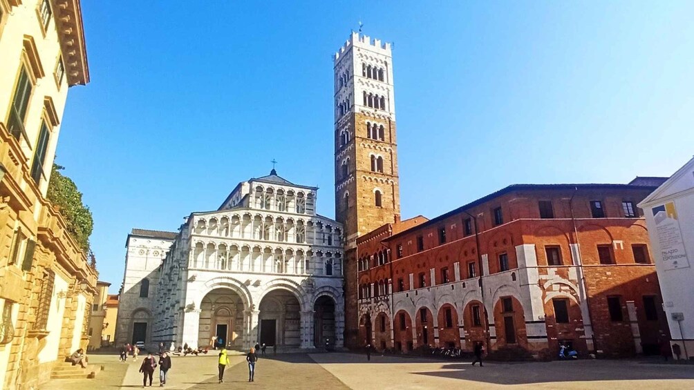 Visit Pisa & Lucca with lunch in a family-run winery