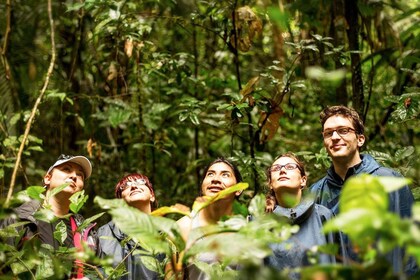 De Iquitos : Amazonas 2 Jours 1 Nuit