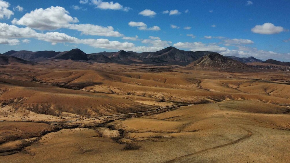 Picture 4 for Activity Discover the Barranco de los Enamorados in Fuerteventura