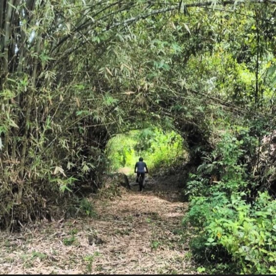 Picture 4 for Activity Mountain Biking in Galle