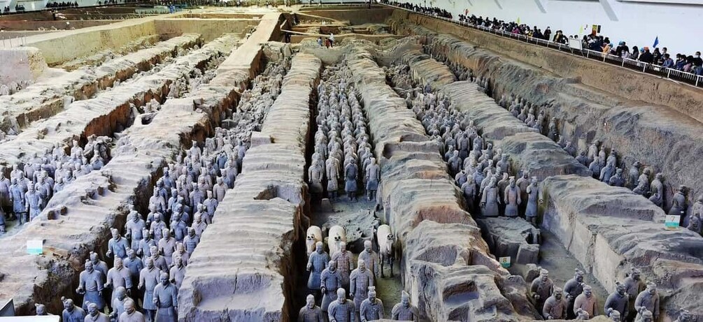 Picture 4 for Activity Xi'an Day Tour Terracotta Warriors City Wall Option Lunch