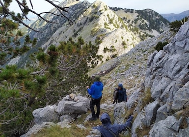 Vlore: Senderismo en el pico Cika, Albania del Sur