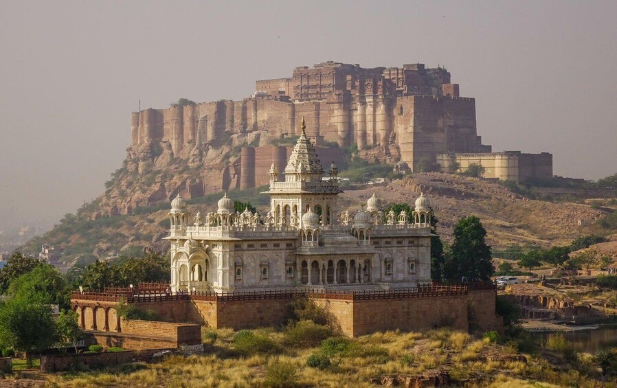 Picture 9 for Activity Jodhpur: Private Mehrangarh Fort and Blue City Day Tour