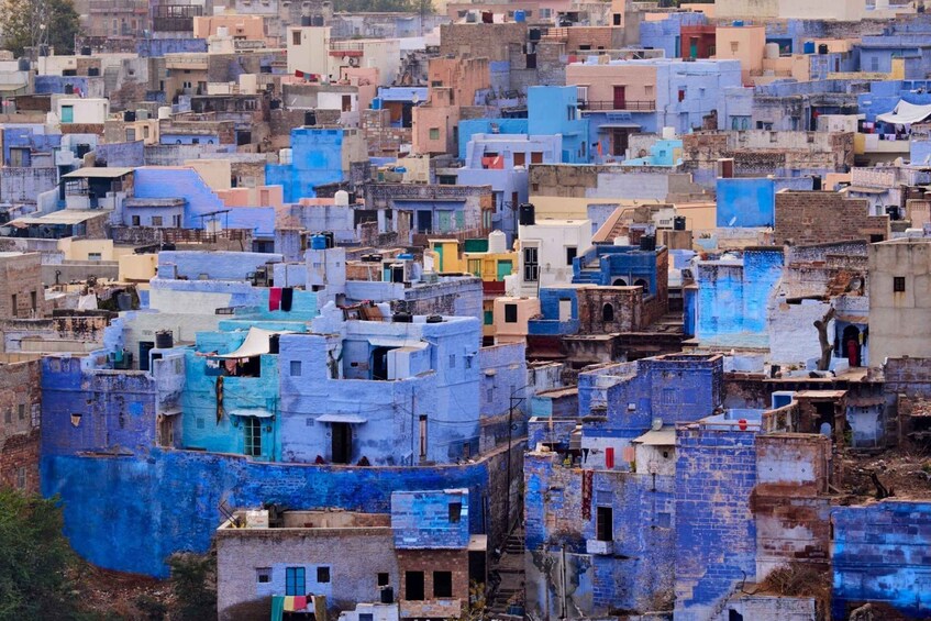 Picture 12 for Activity Jodhpur: Private Mehrangarh Fort and Blue City Day Tour