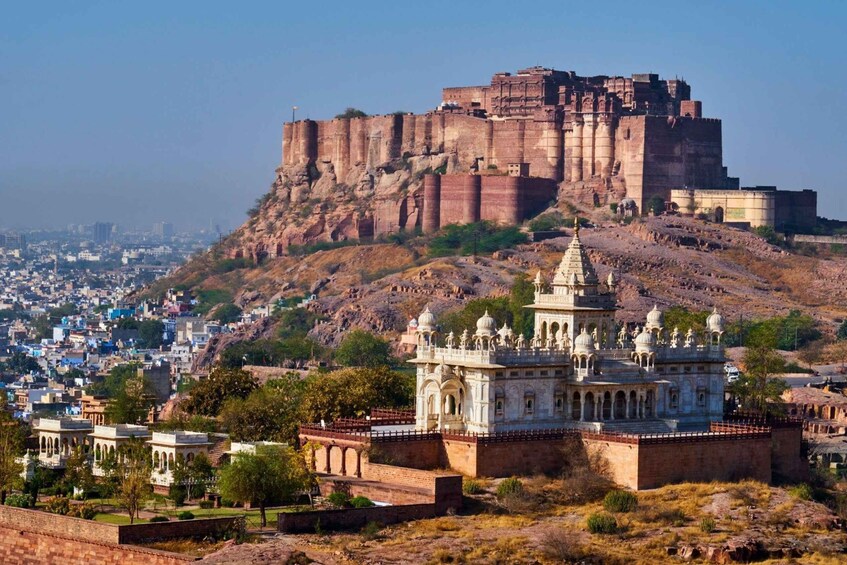 Picture 1 for Activity Jodhpur: Private Mehrangarh Fort and Blue City Day Tour