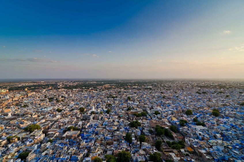 Picture 8 for Activity Jodhpur: Private Mehrangarh Fort and Blue City Day Tour