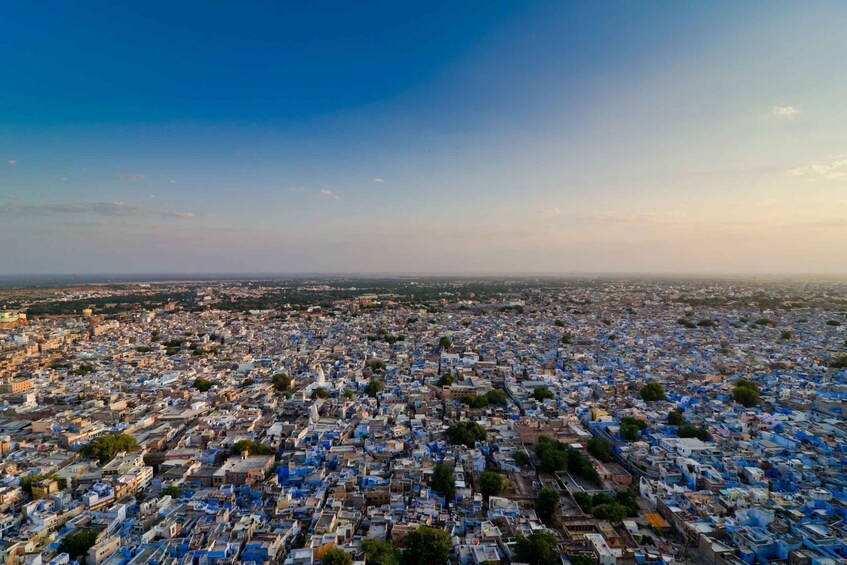 Picture 8 for Activity Jodhpur: Private Mehrangarh Fort and Blue City Day Tour