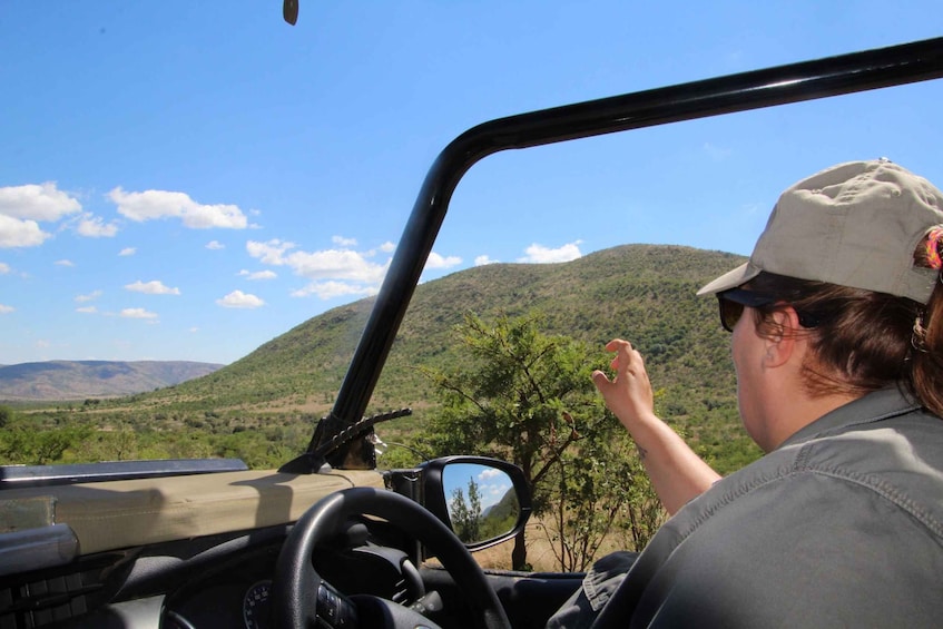 Picture 1 for Activity From Johannesburg: Pilanesberg Nature Reserve Game Safari