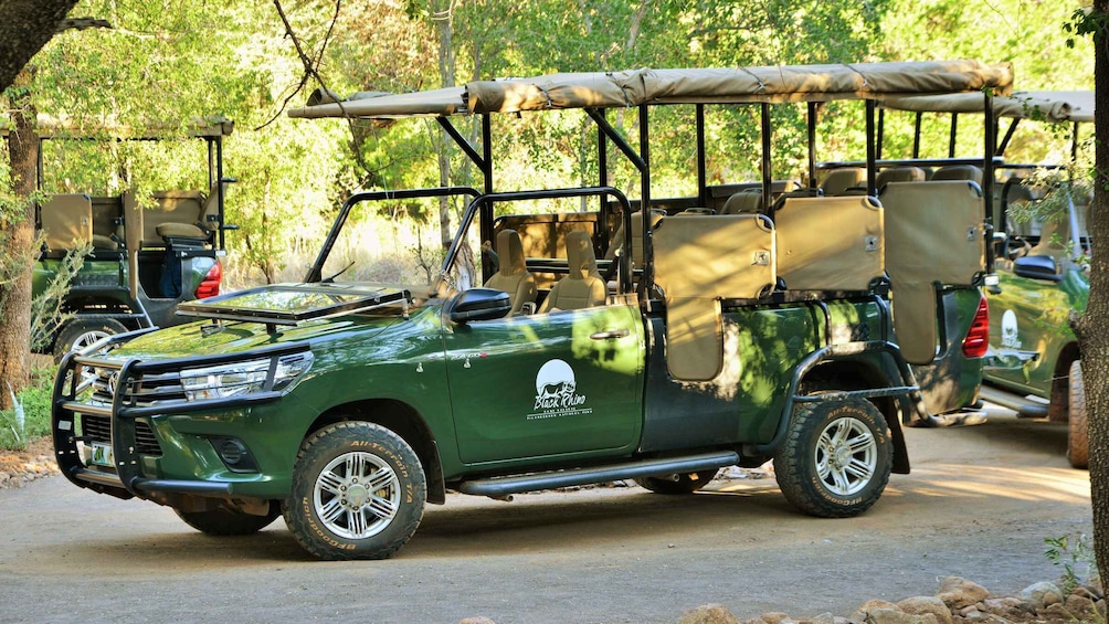 Picture 4 for Activity From Johannesburg: Pilanesberg Nature Reserve Game Safari