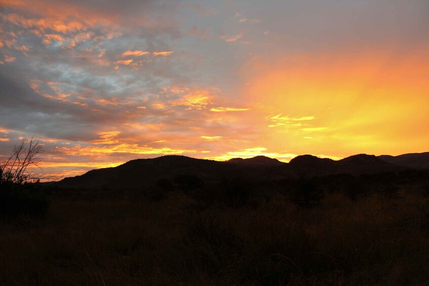 Picture 5 for Activity From Johannesburg: Pilanesberg Nature Reserve Game Safari