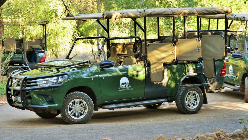 Picture 4 for Activity From Johannesburg: Pilanesberg Nature Reserve Game Safari