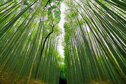 Landutflukt fra Kobe til Kyoto