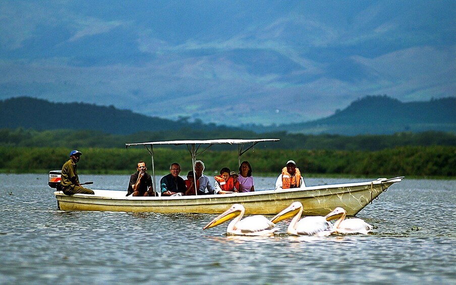 Picture 2 for Activity A day tour to Lake Nakuru and Naivasha Boat ride