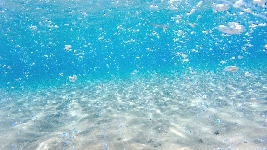 Picture 1 for Activity Kos: Paradise Beach Return Transfer