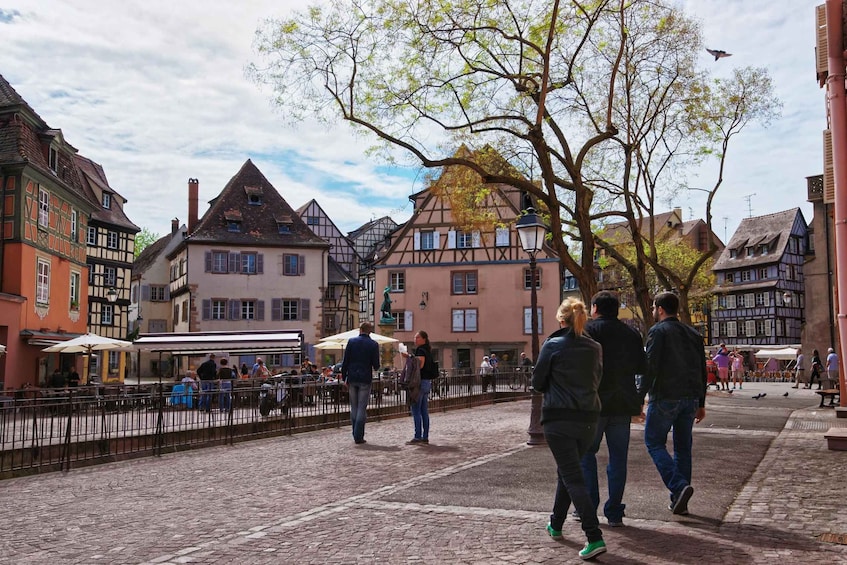 Picture 3 for Activity Colmar: Express Walk with a Local in 60 minutes