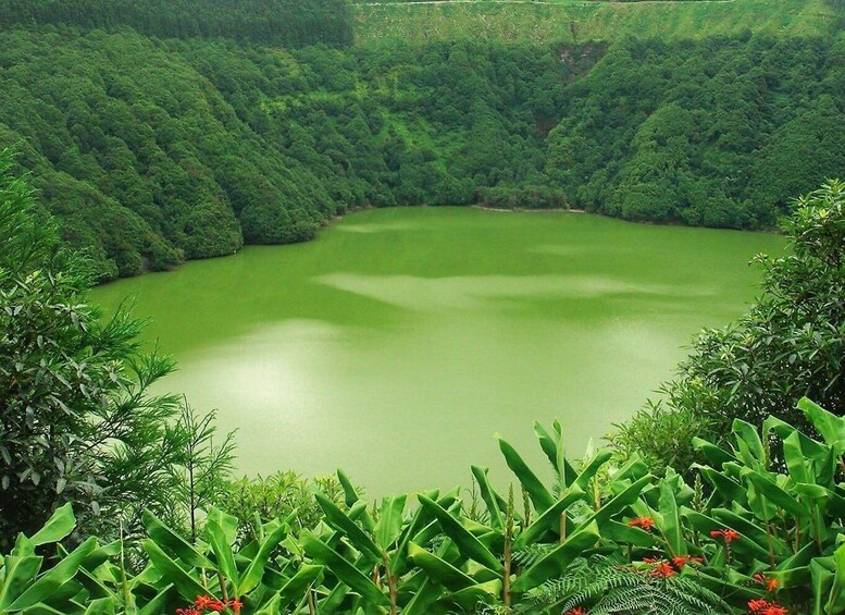 Picture 8 for Activity Azores Guided Tour to Volcano and Crater of Sete Cidades