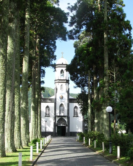 Picture 9 for Activity Azores Guided Tour to Volcano and Crater of Sete Cidades