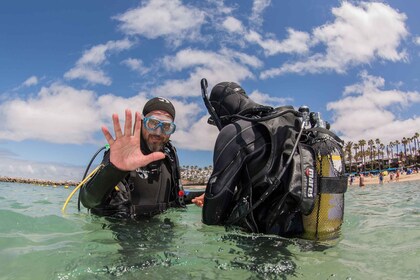 Lanzarote: 2-duikpakket in Playa Blanca - gebrevetteerde duikers