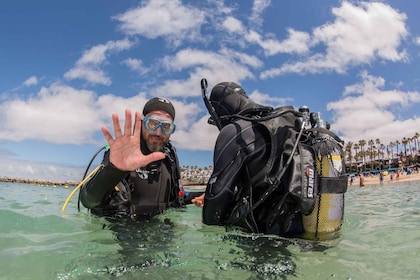 Lanzarote: 2-dive package in Playa Blanca - certified divers