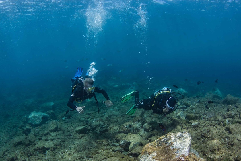 Picture 3 for Activity Lanzarote: 2-dive package in Playa Blanca - certified divers