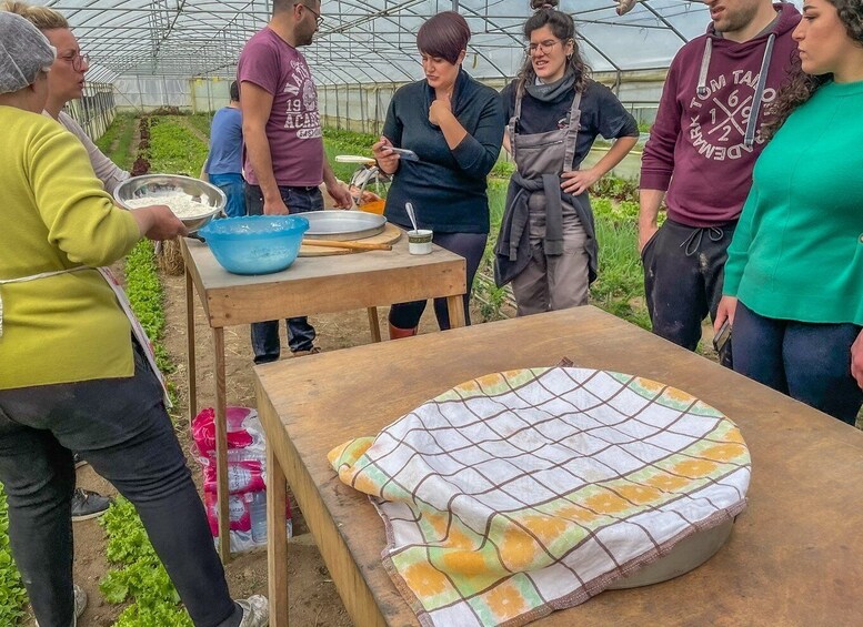 Picture 4 for Activity Ioannina: East Zagori Farming Experience & Cooking Class