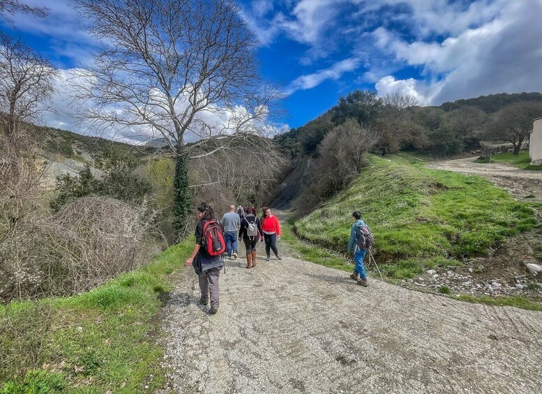 Picture 13 for Activity Ioannina: East Zagori Farming Experience & Cooking Class