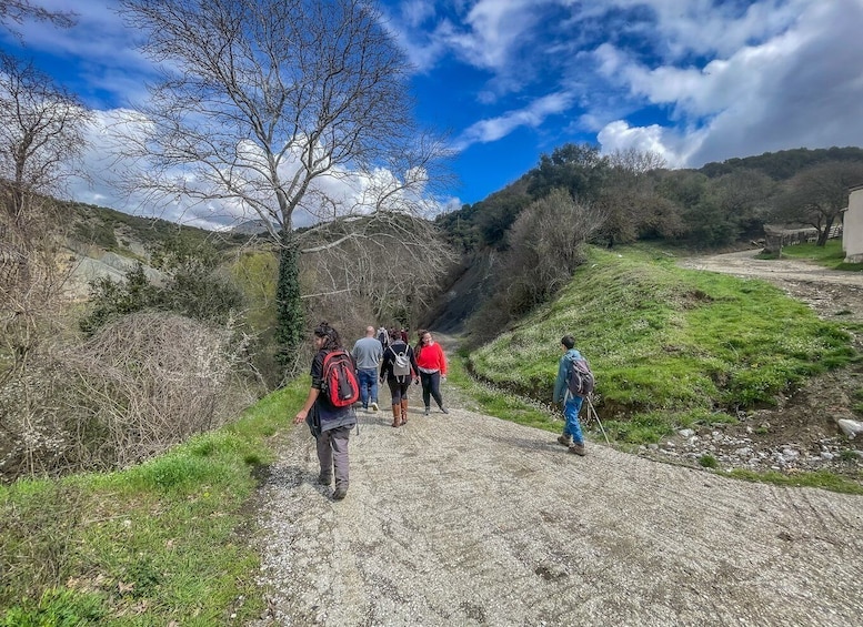 Picture 13 for Activity Ioannina: East Zagori Farming Experience & Cooking Class