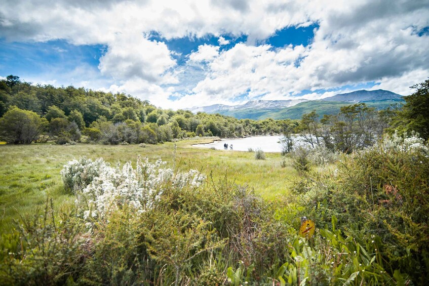 Picture 2 for Activity Ushuaia: Full Day Trip to Tierra del Fuego National Park