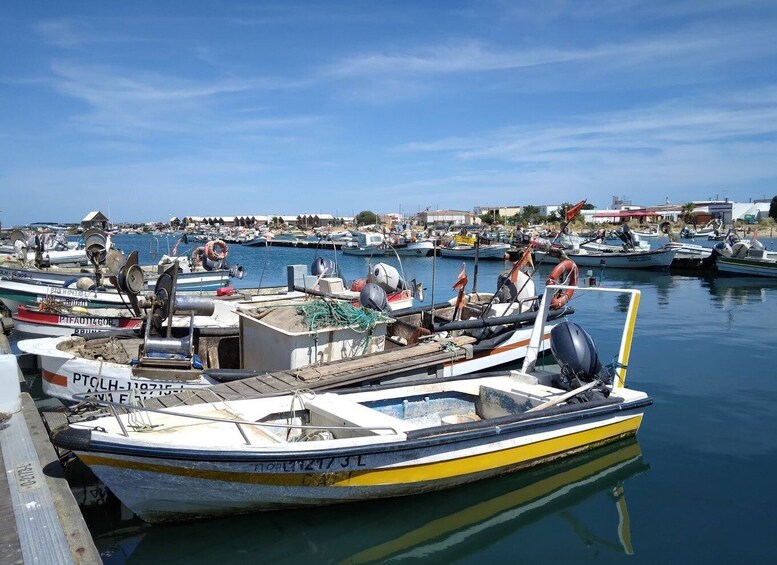 Picture 6 for Activity Albufeira - Visit Olhão & Culatra Island with lunch included