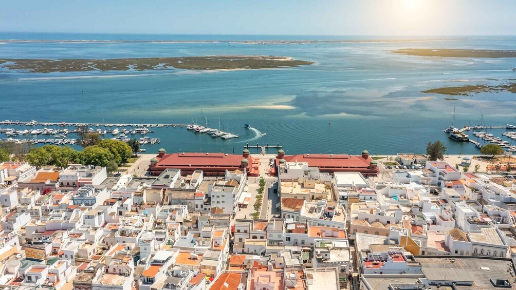 Picture 3 for Activity Albufeira - Visit Olhão & Culatra Island with lunch included