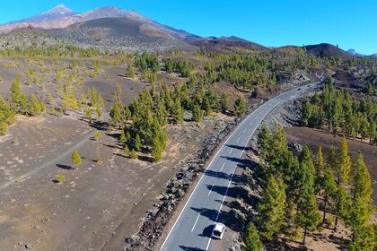 特內里費島：特內里費島國家公園的泰德山四人組遊覽