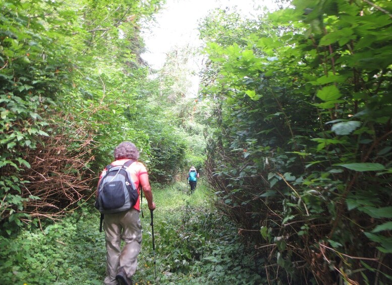 Picture 4 for Activity 27 Waterfalls Tour with Entrance Fee & Lunch