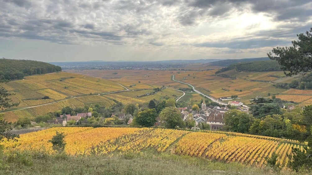 Picture 3 for Activity Small group tour Morning in Côte de Beaune