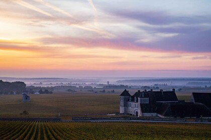 Small group tour Morning in Côte de Beaune