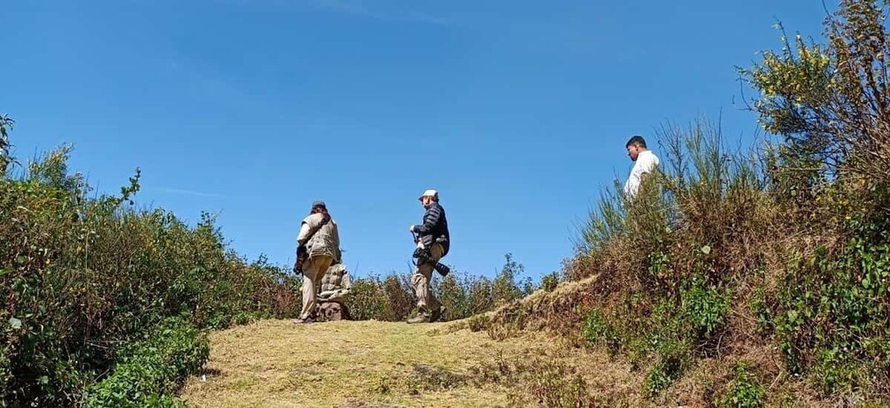 Picture 6 for Activity Munnar Birding and Bird Photography Trip