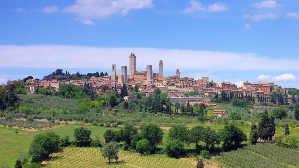 Picture 2 for Activity From Rome: Florence & Tuscany Day Tour by High-Speed Train