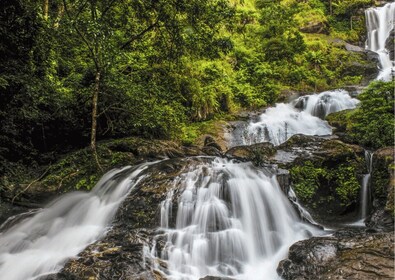 Faits saillants touristiques de Coorg (Visite guidée d’une journée en voitu...